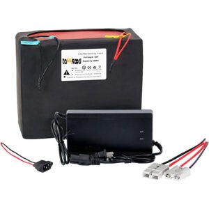 TASSKOOD 72v 40ah lithium battery 50A BMS For 200-3000W Motor